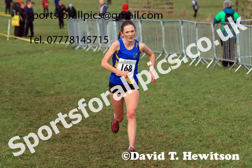 Senior Womens 2024 Northern Cross Country Champs., Sedgefield. Photo: David T. Hewitson/Sports for All Pics